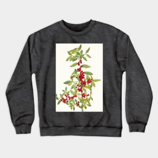 Yaupon holly - Botanical Illustration Crewneck Sweatshirt